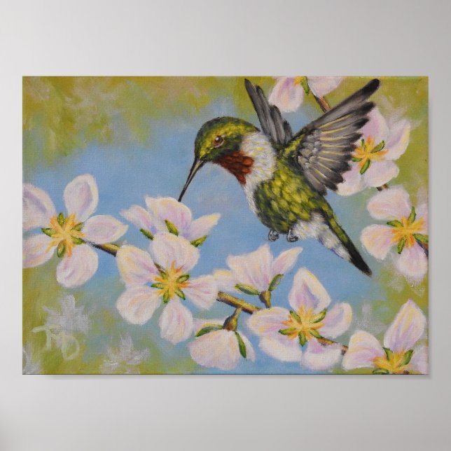 Ruby-Throated Hummingbird - Poster (Front)