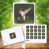 Ruby-Throated Hummingbird