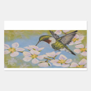 Ruby-Throated Hummingbird - Stickers
