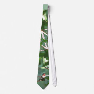 Ruby-throated Hummingbird Tie