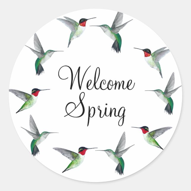 Ruby-throated Hummingbirds Welcome Spring Classic Round Sticker (Front)