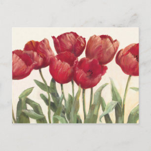 Ruby Tulips Postcard