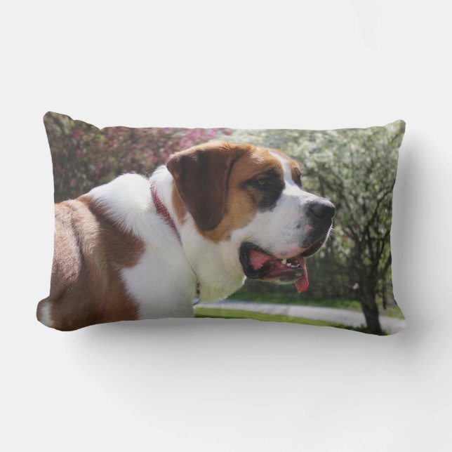 Ruby's Springtime Pillow (Front)
