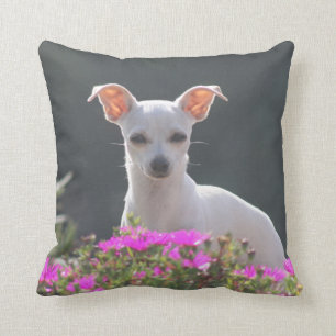 Ruca Throw Pillow