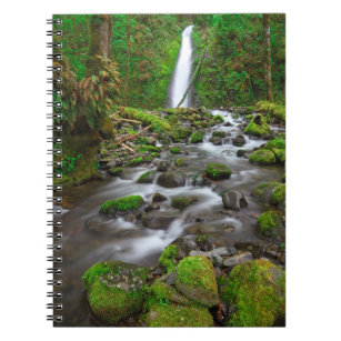 Ruckel Creek Falls, Columbia River Gorge Oregon Notebook
