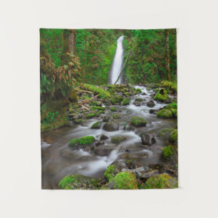 Ruckel Creek Falls, Columbia River Gorge Oregon Tapestry