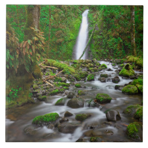 Ruckel Creek Falls, Columbia River Gorge Oregon Tile