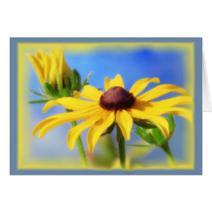 Rudbeckia Blues - Vignette