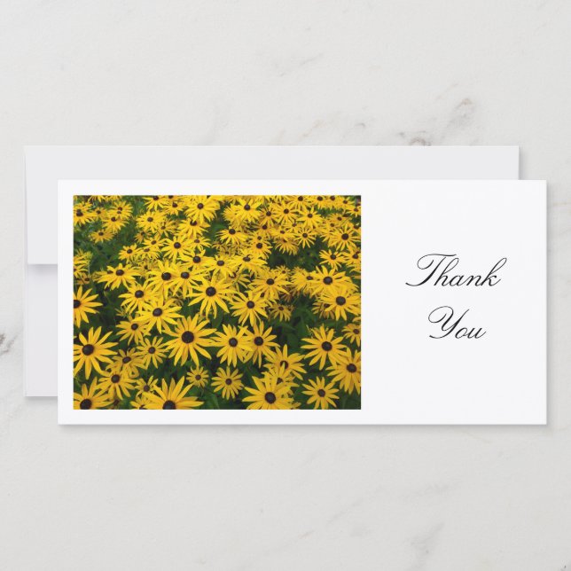 Rudbeckia Hirta (Black-eyed Susans) - Thank You (Front)