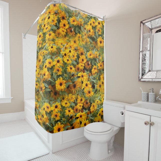 Rudbeckias / A Bed of Black-Eyed Susans (In Situ)