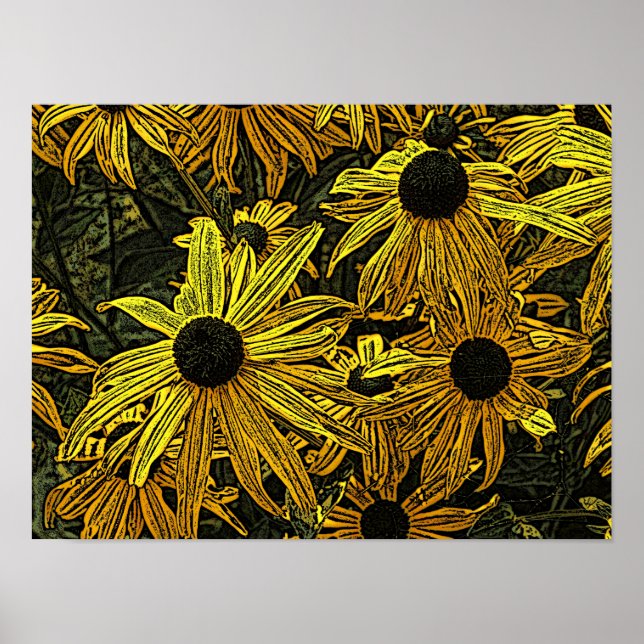 RUDBECKIAS POSTER (Front)