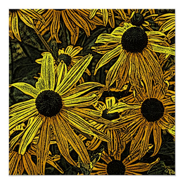 RUDBECKIAS POSTER (Front)