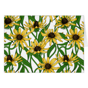 Rudbekia jaune sur blanc