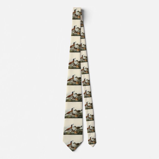 Ruddy Duck from John Audubon's Birds of America Tie (Front)