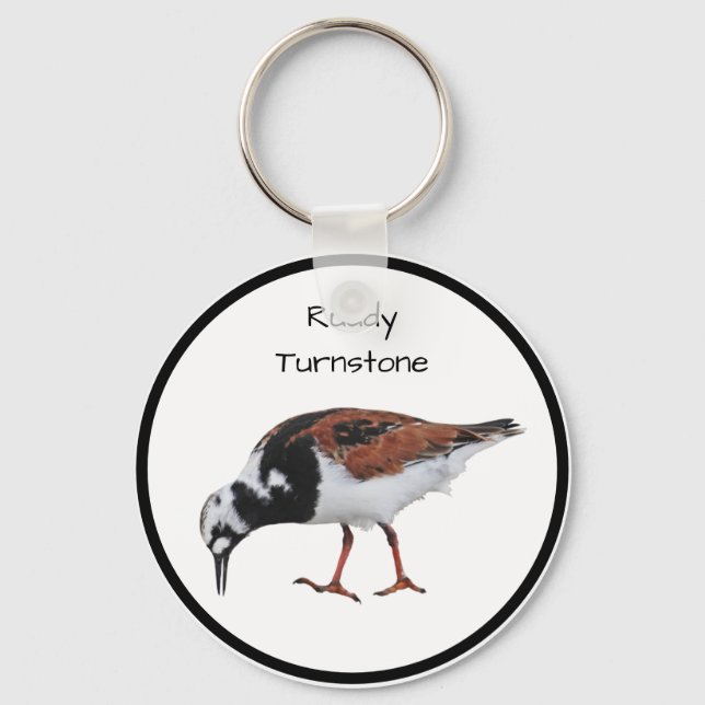 Ruddy Turnstone Keychain (Front)