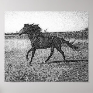 RUDOLFO - HORSE POSTER