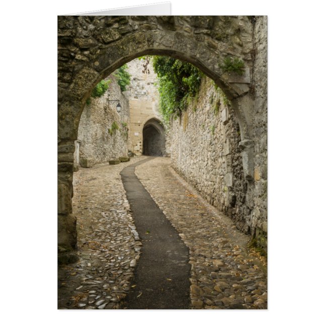 Rue Cobblestone Gris, France (Devant)