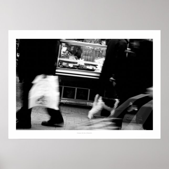 Rue Daguerre Paris Homage to Agnes Varda 6 Poster (Front)