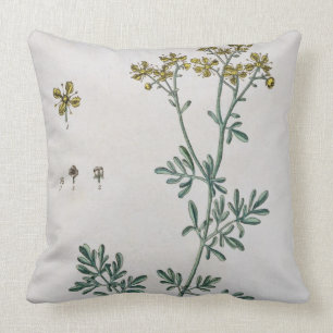 Rue, plate 7 from 'A Curious Herbal', published 17 Throw Pillow