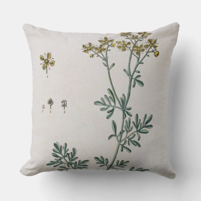 Rue, plate 7 from 'A Curious Herbal', published 17 Throw Pillow (Front)