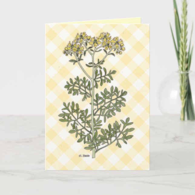 "Rue" Vintage Botanical Card (Front)
