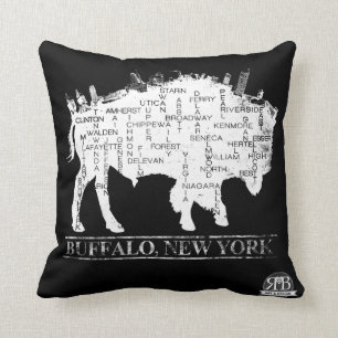Rues de coussin de Buffalo NY