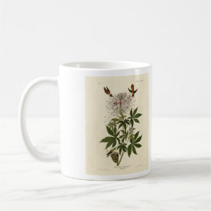 Ruff-necked Humming-bird, Audubon Birds of America Coffee Mug
