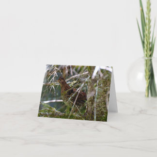 Ruffed Grouse 02 Card