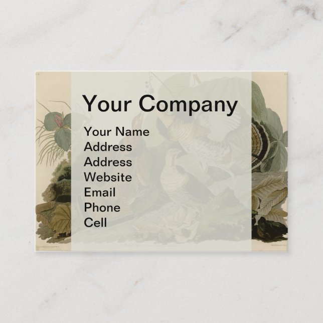 Ruffed Grouse Audubon Game Bird Business Card (Front)
