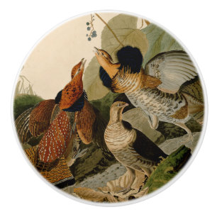 Ruffed Grouse Audubon Game Bird Ceramic Knob