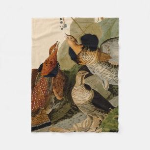 Ruffed Grouse Audubon Game Bird Fleece Blanket