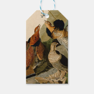 Ruffed Grouse Audubon Game Bird Gift Tags