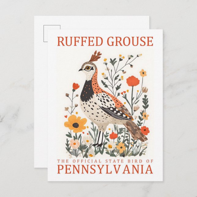 Ruffed Grouse Bird of Pennsylvania Travel Postcard (Front/Back)