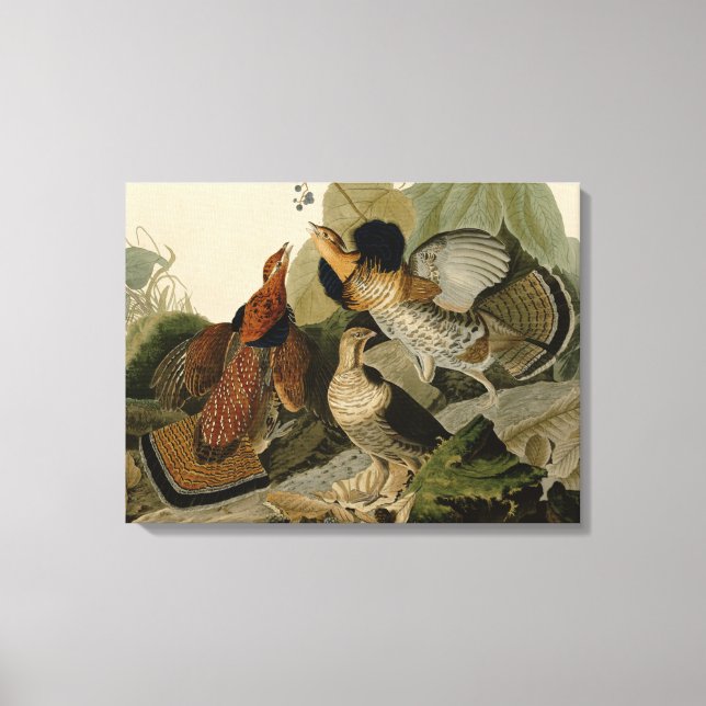 Ruffed Grouse by John Audubon Canvas Print (Front)