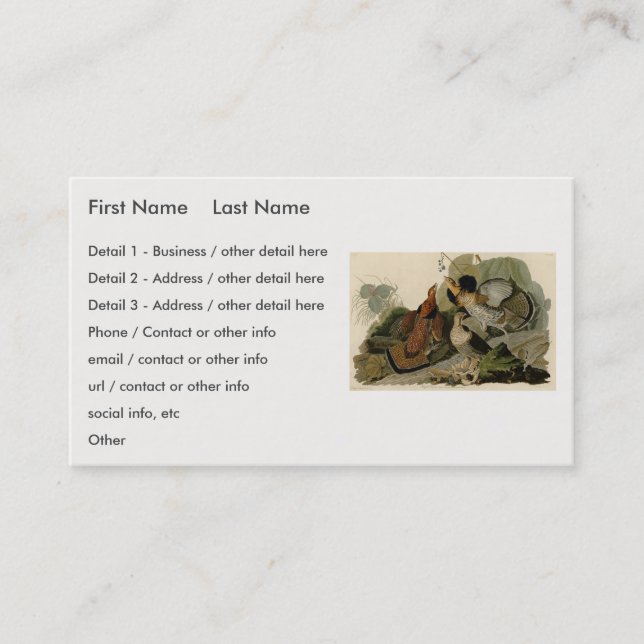 Ruffed Grouse - from Audubon's Birds of America Bu Business Card (Front)