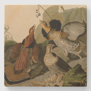 Ruffed Grouse - from Audubon's Birds of America Stone Coaster