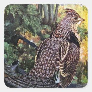 Ruffed Grouse in the Forest Square Sticker