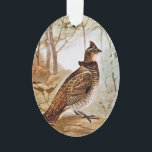 Ruffed Grouse Ornament<br><div class="desc">This gorgeous ruffed grouse is front and centre in this beautiful old illustration. It's beautiful brown and white feathers make it stand out against a soft and natural forest setting.</div>