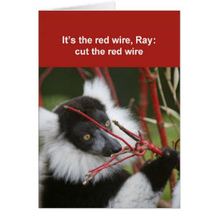 Ruffed lemur card