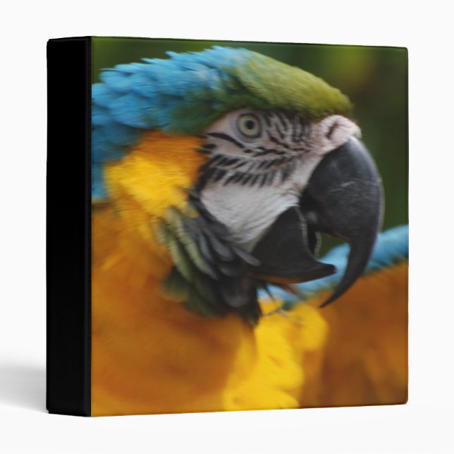 Ruffled Blue and Gold Macaw Binder (Front/Spine)