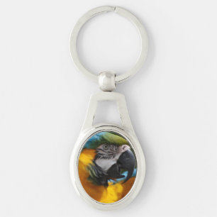 Ruffled Blue and Gold Macaw Keychain