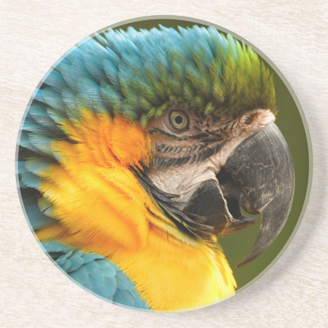 ruffled macaw coaster (Front)