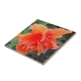 Ruffled Orange Flower Tile