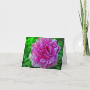 Ruffled Pink Spring Flower Floral Note Card
