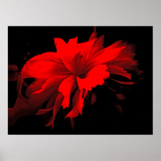 ruffles 2 poster