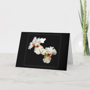 'Ruffles' Blank Greeting Card