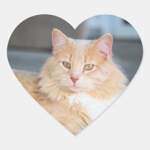 Ruffles heart sticker