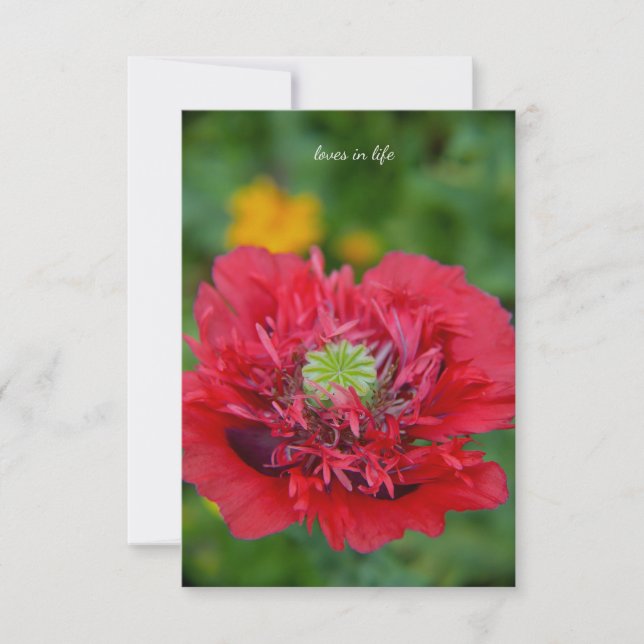 Ruffly Red Poppy Card (Front)