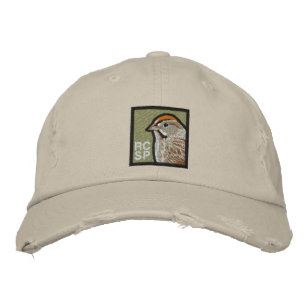 Rufous-crowned Sparrow. Embroidered Hat