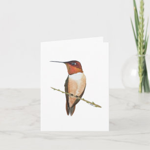 Rufous hummingbird card